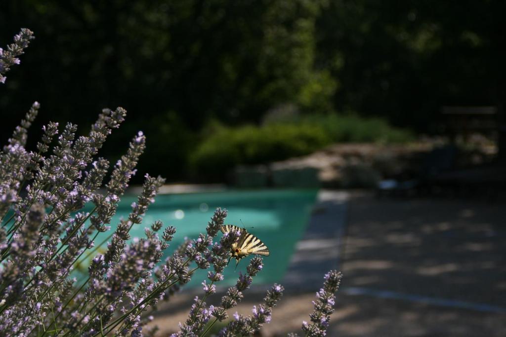 La Villa Des Pins Verrieres  외부 사진